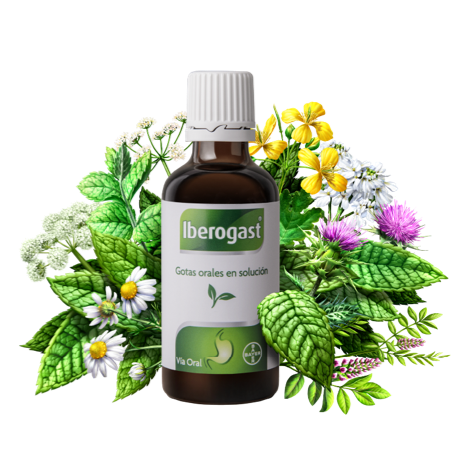 Iberogast